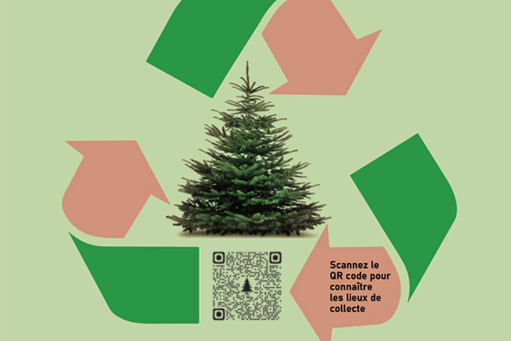 collecte sapins affiche 3