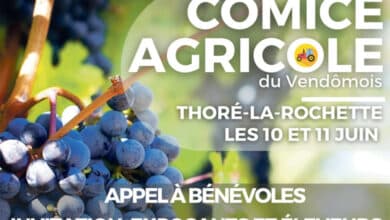 En recherche de bénévoles et d’exposants 2 comice agricole avant