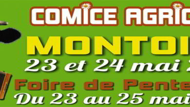 Comice agricole et Foire de Pentecôte 14 comice montoire bandeau