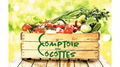 C’est parti pour le Comptoir des Cocottes 13 comptoir des cocottes 1