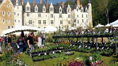 La traditionnelle Fête des plantes au Château de Courtanvaux 8 courtanvaux fete des plantes 2022 26 avant