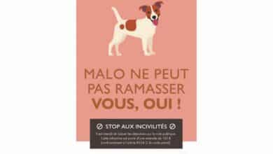 cp dejections canines 3