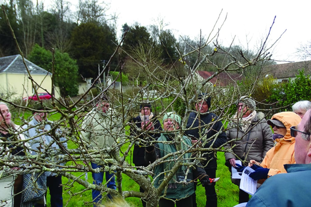 demonstration taille 1