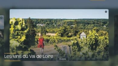 design sans titre 38