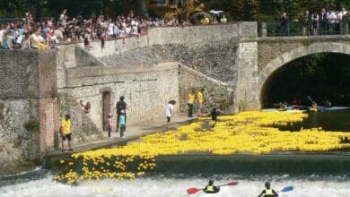 Ça va être ta fête mon canard ! 1 Duck Race
