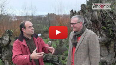 edito janvier 2015