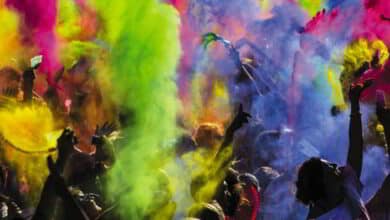Le voyage du Petit Vendômois... 8 elfie inde festival couleurs