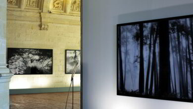 L’appel de la forêt ! 4 expo chambord Bae Bien U 1
