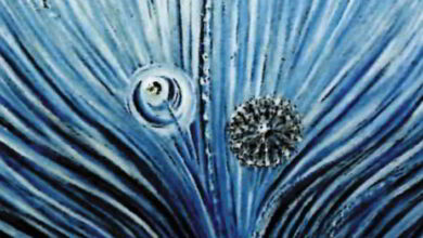 «Mouvement, harmonie, lumière» Jusqu’au 1er novembre, Couture-sur-Loir 12 expo jardin des arts bandeau