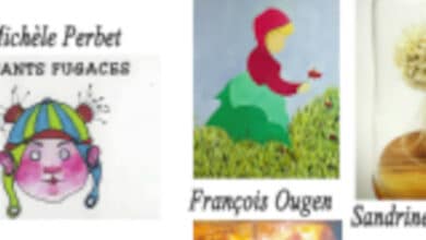 expo nogeco la chartre banniere