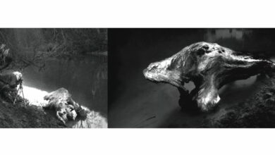 «Errance nocturne» 1ère exposition à Pezou jusqu’au 30 octobre 4 expo pezou perroquin