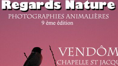 9e édition «Regards Nature» Vendôme, du 25 au 29 novembre, chapelle St Jacques 6 expo regard nature bandeau