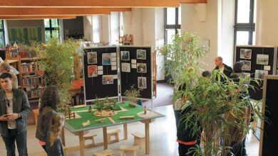 Jardin zen en exposition 10 expo zen