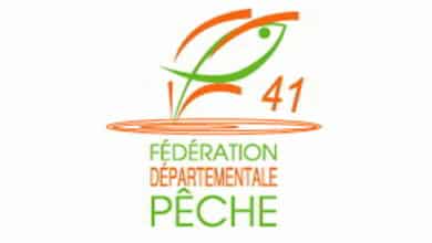 fede peche 41
