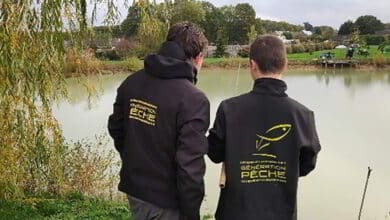 fede peche 7