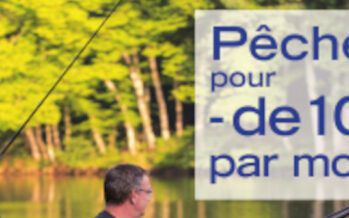 Pêcher en Loir-et-Cher, Un loisir passionnant au plus proche de la nature