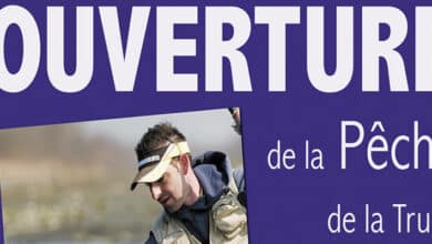 truite