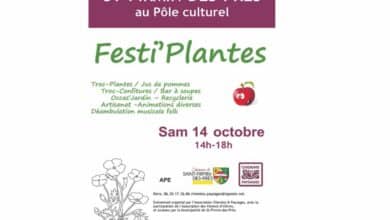 Troquer, regarder... mais pas que ! 10 festiplantes