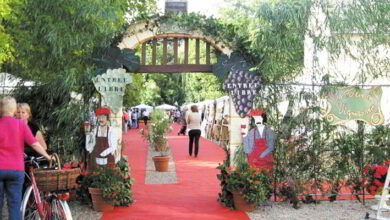 Le temps des plaisirs gourmands 6 quatier Marescot ; Salon des vins et de la gastronomie ; Montoire