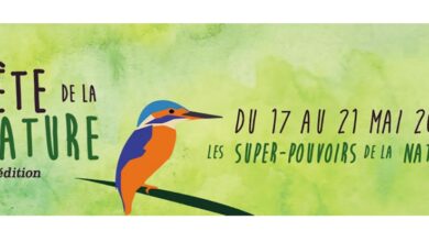 Venez fêter Dame nature ! 5 Fête de la nature
