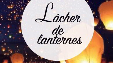 Fête des lumières au château de Vendôme... 23 fête des lumières