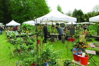 fete des plantes 1