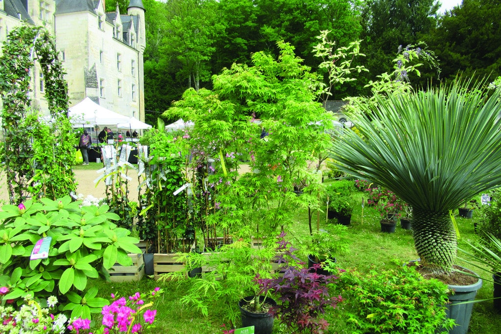 fete des plantes 2 1
