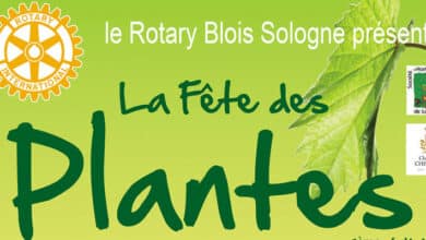 Cheverny fête les plantes 9 Fête des plantes ; Rotary Club Blois-Sologne ; château de Cheverny ; Cheverny