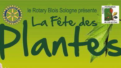 Fête des Plantes au château de Cheverny les 19 et 20 mars 8 fete des plantes cheverny bandeau