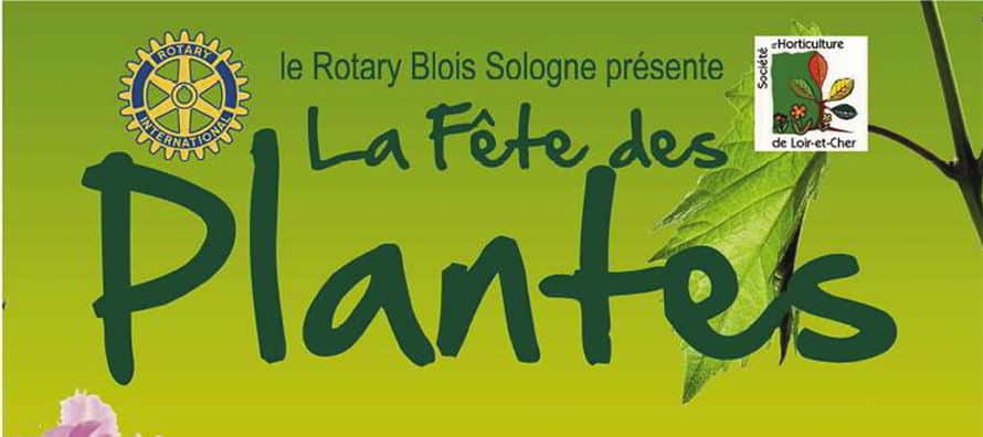 Fête des Plantes au château de Cheverny les 19 et 20 mars 1 fete des plantes cheverny bandeau