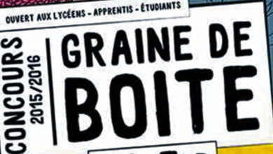 graine de boite 15 bandeau