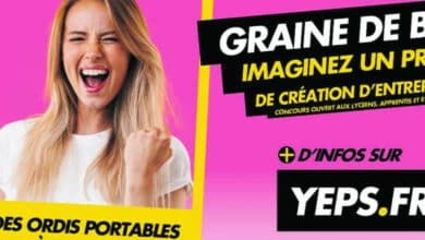 graine de boite banniere