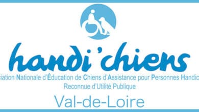 La nuit Handi'chiens, et si vous preniez part à l'aventure ? 12 handichiens vdl