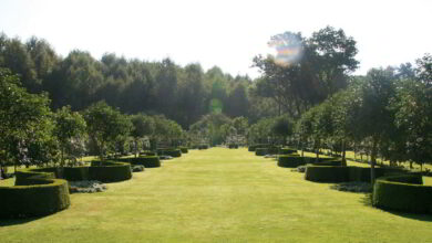 Balades dans des jardins 12 jardin sasnieres