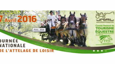 13e journée nationale de l'attelage de loisir - Dimanche 17 avril 6 journee attelage 2016