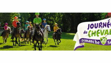 Journée du cheval : dimanche 20 septembre 11 journee cheval 2015