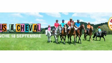 journee cheval 2016