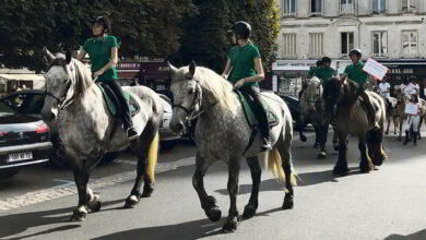 journee du cheval 1