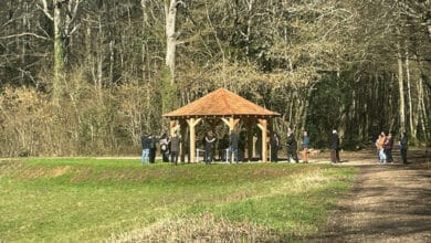 kiosque ayu bois de loratoire 1 1
