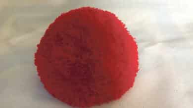 Le pompon de marin de la Chartre-sur-le-Loir 10 la chartre pompon1 avant