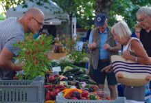 La fête bio à Boursay, des nouveautés 4 La fête bio à Boursay, des nouveautés