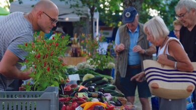 La fête bio à Boursay, des nouveautés 7 La fête bio à Boursay, des nouveautés