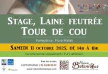 laine tour de cou 1
