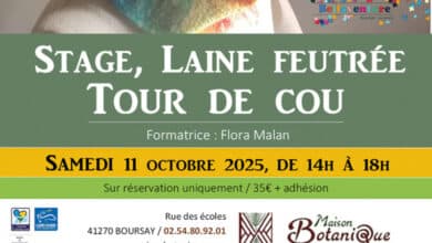 laine tour de cou 1