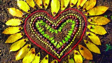 Avec Perche Nature 4 land art 1