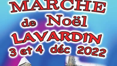 Marché de Noël à Saint-Calais 2 larvardin marche de noel nov 22 avant