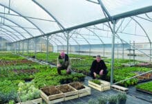 laurent et frederic neilz 1