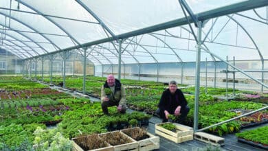 laurent et frederic neilz 1