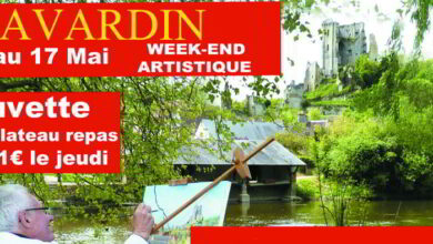 Lavardin, capitale des arts le week-end de l’Ascension 4 lavardin week end ascension peintre capitale regionale des arts mai 2015