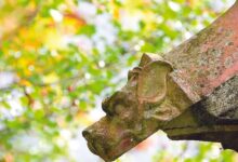 Le Jardin des Tamaris
aux Rendez-vous aux Jardins 10 Le Jardin des Tamaris
aux Rendez-vous aux Jardins